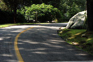 masons_road_curved21